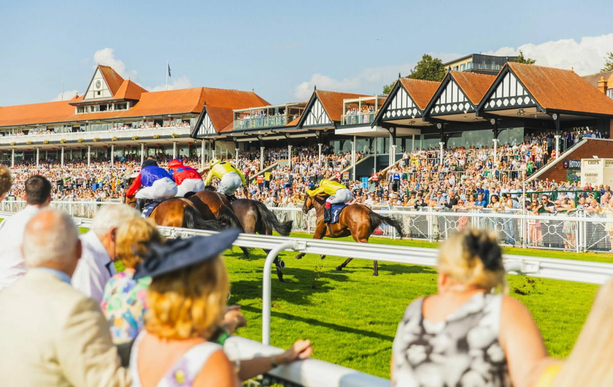 Going To The Races, Chester, Aintree or Haydock - We've Got You Covered with our 12  seater minibus